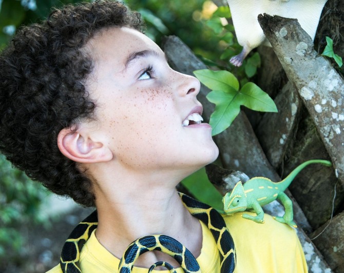 Figurka z kameleonem Safari Ltd zielona